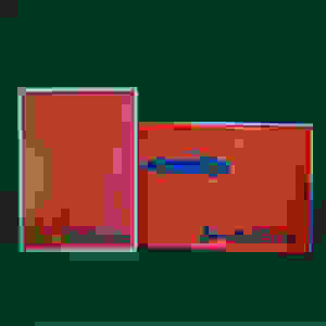 Libretto e Catalogo DINO FERRARI 246 GT (1972)