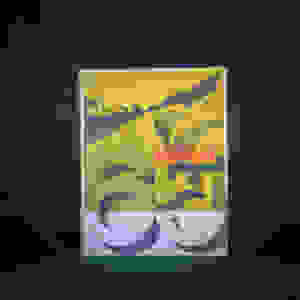 Annuario FERRARI (1965)