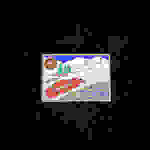 AUTO BADGE - PLACCHETTA AUTO 1955